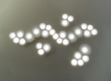 Bulbullia