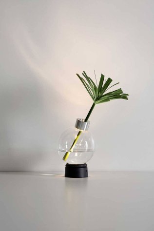 Bulbo Vaso
