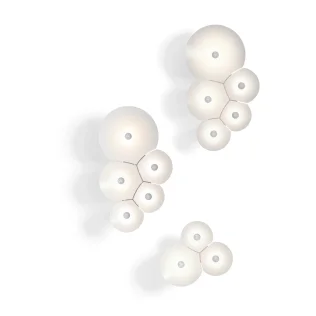 Bulbullia